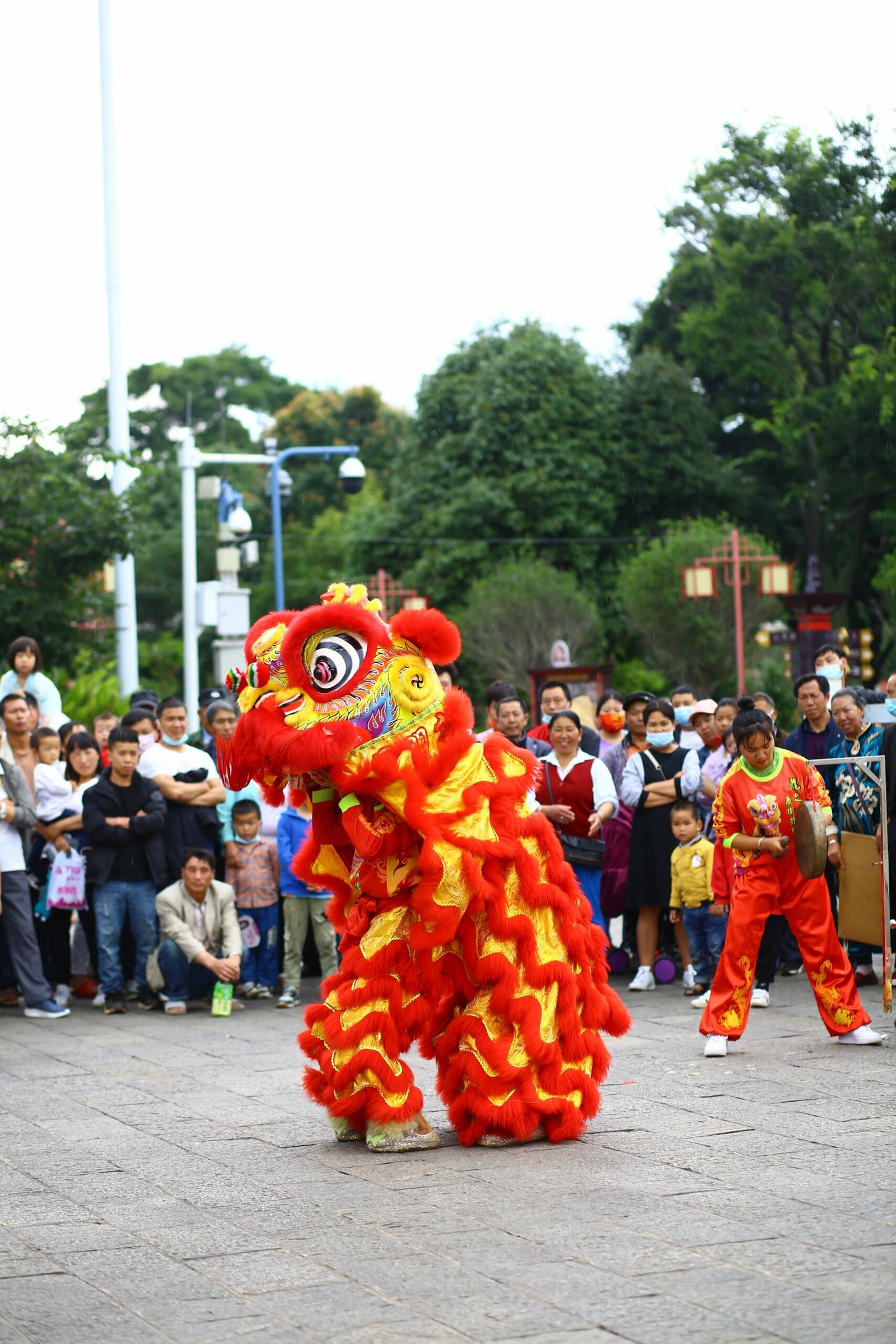 Chinese dragon dance